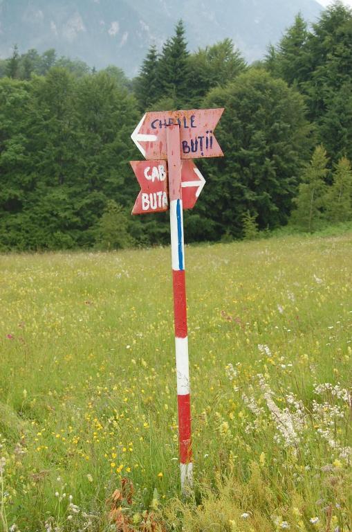 Complexul Turistic Cheile Butii Hotel Cîmpu lui Neag Exterior photo